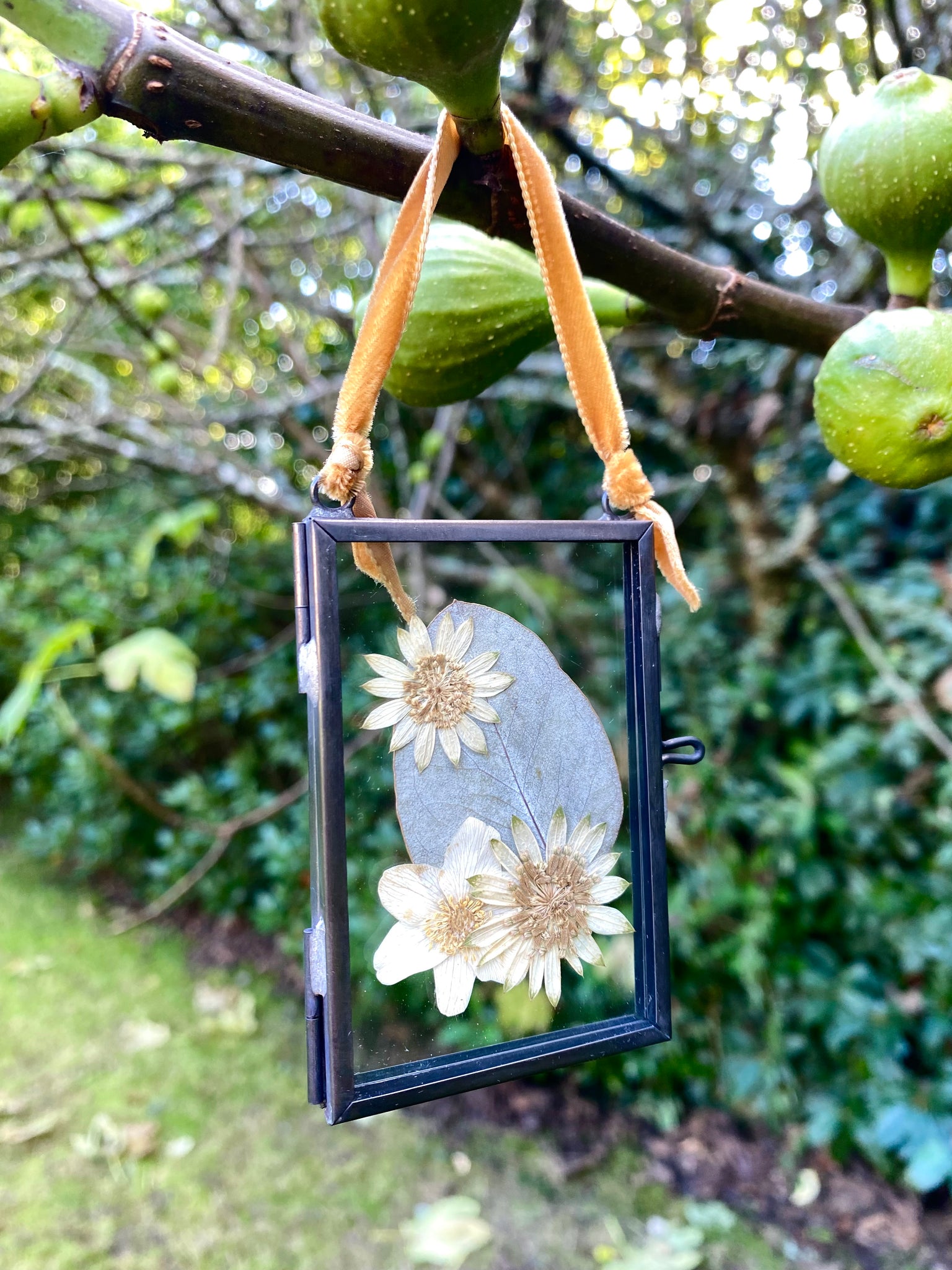 Mini Hanging Pressed Flower Frame Christmas decoration