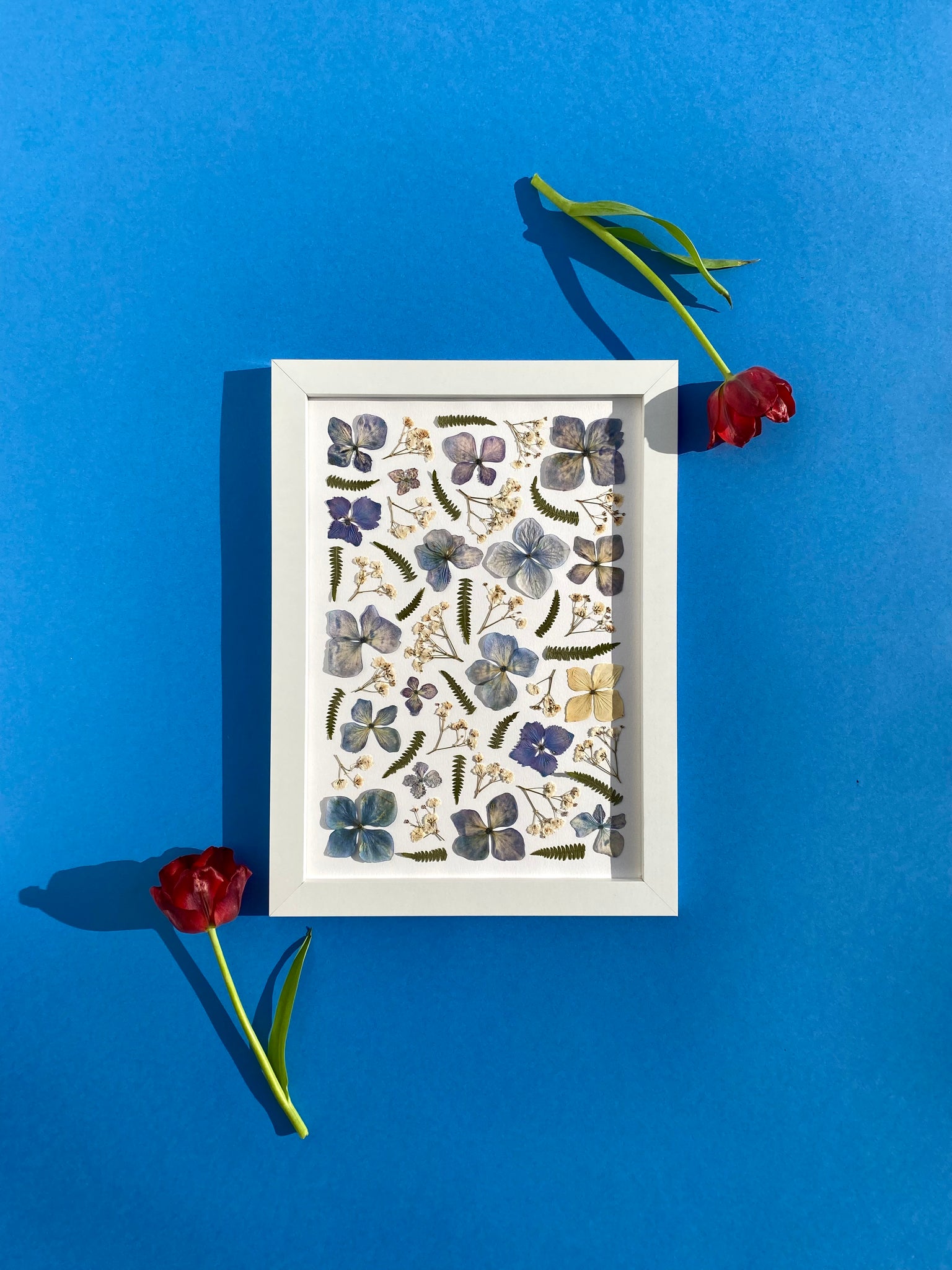 Hydrangea Pressed Flowers Framed Art A4
