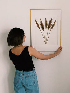 Natural Dried Reed Grass Framed Art